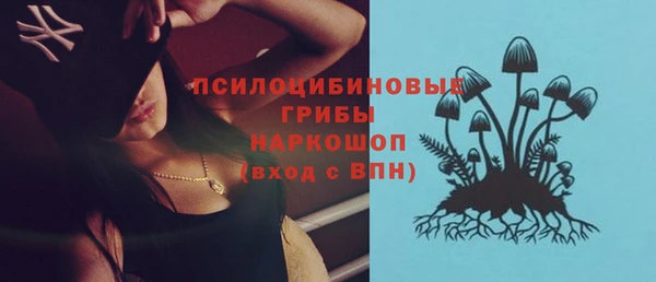 дживик Аркадак